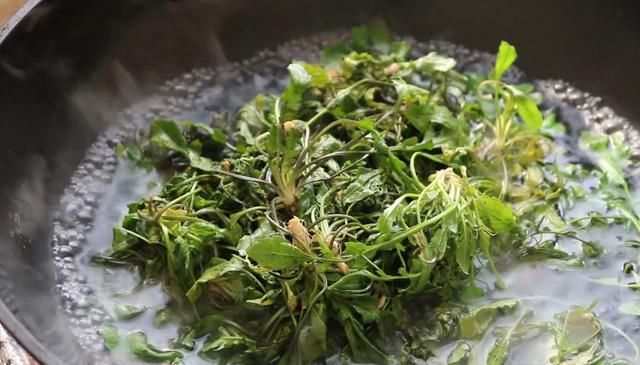 早餐饼|荠菜别再包饺子，教你1个新吃法，营养解馋，吃一次就念念不忘