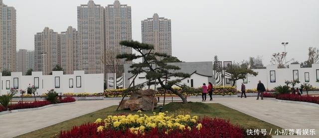 焦作天河公园22日起有免费灯展,面积不大也有些味道