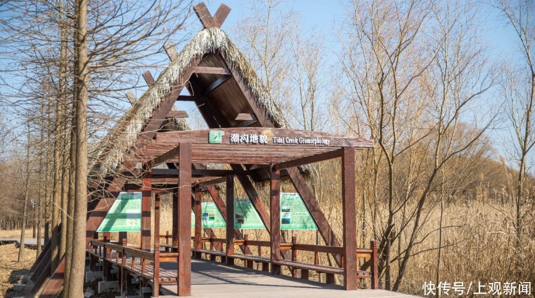 西沙湿地开园啦