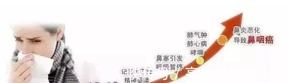 辛夷|鼻炎发作很难受一把小葱, 不出半月, 鼻涕消了, 鼻炎也见好!