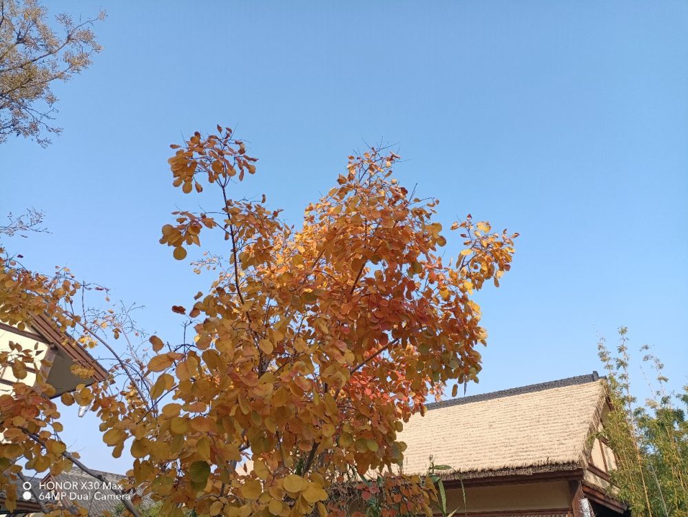 音量|荣耀X30 Max超大屏体验 巨幕级移动观影神器