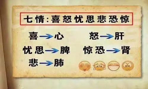 五脏六腑|【心理健康】情志异常如何影响我们的身体