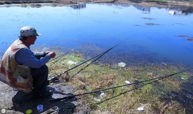 秋钓近岸多获鱼的4个小技巧，有时钓近渔获反而不一定差