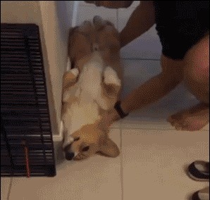 |搞笑GIF：女汉子真是不简单啊，还以为妹子要坐上去呢