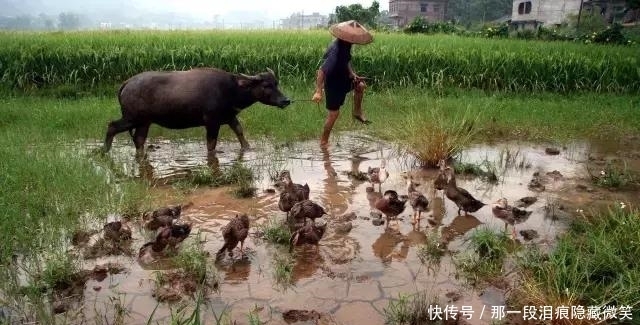 江南雨真有那么诗情画意吗？