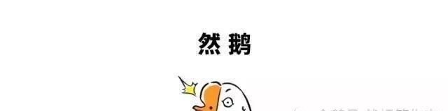 诸葛亮|空城计，可能只是诸葛亮与司马懿演的一场戏