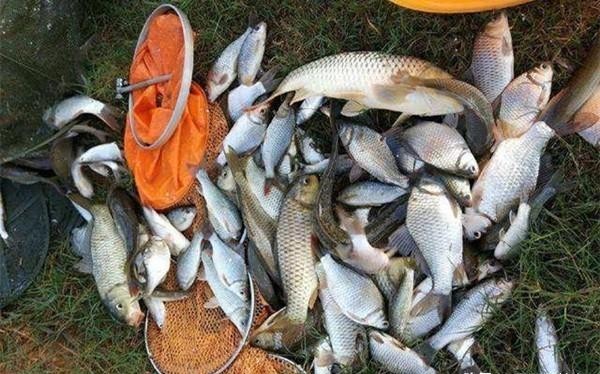 冬至过后气温低鱼情差,注意5钓5不钓,让你冬钓不迷茫有方向