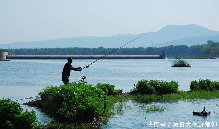 水面|夏季作钓需要做出的七大调整