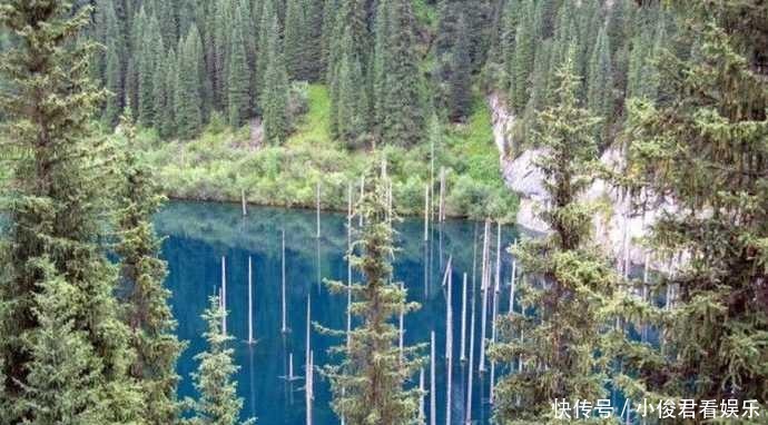蒙山|你绝对没有见过倒着长在水里的树