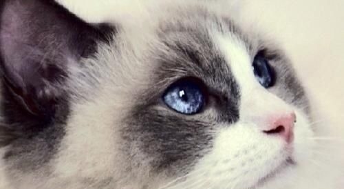 生日|生日尾数是几的孩子,一生注定不平凡,出人头地,父母少操心