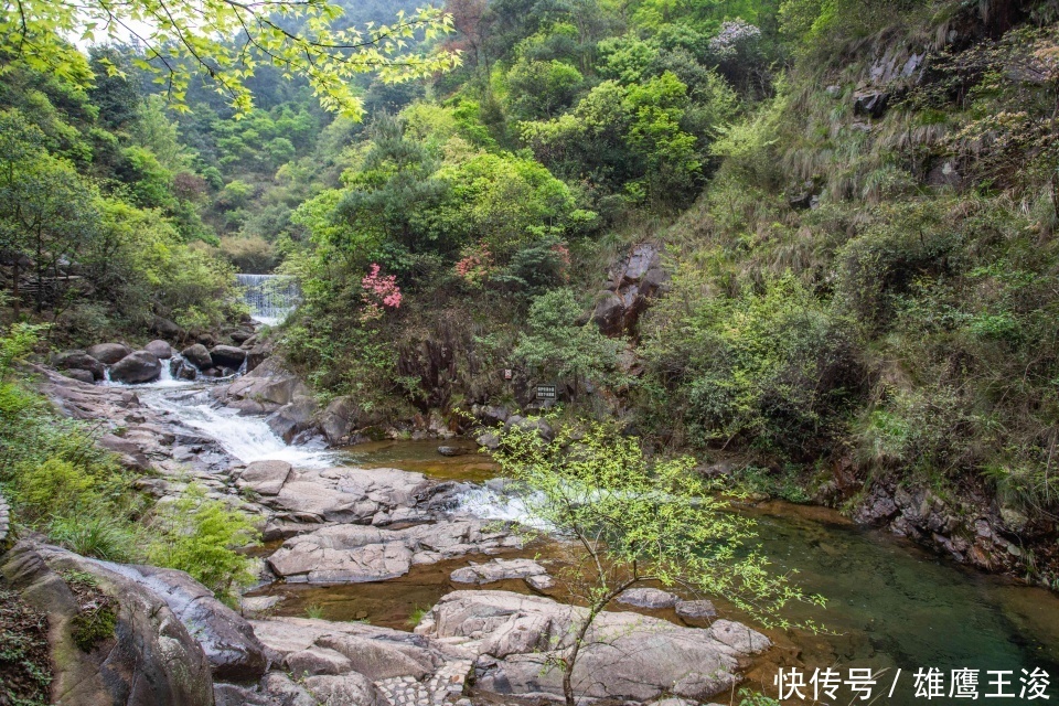 杭州郊外低调的“洗肺胜地”，环境好空气清新，一年四季适合养老