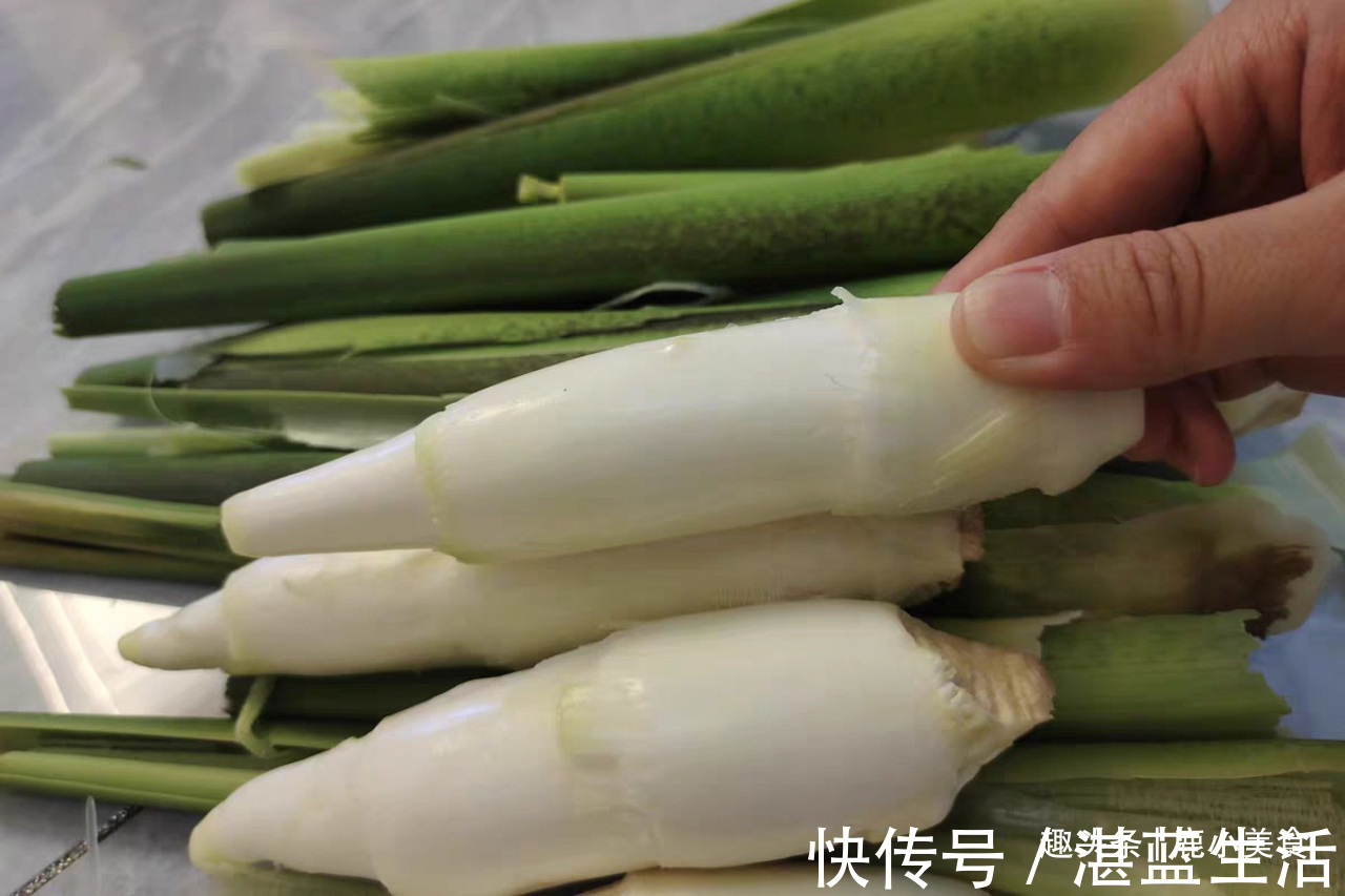 韭菜苔|6月不可错过的时令蔬菜，鲜嫩营养高，小炒超好吃，夏季就好此口