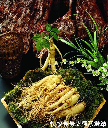 它被称为“百草之王”,大补元气还安神益智食用时要注意这些