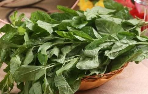 常吃|女性养肝就是“养命”，常吃3种养肝野菜，保护肝脏，健康来敲门