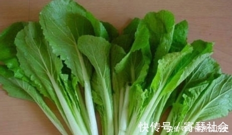 秋天一定不要错过这菜，用来做饺子馅，鲜嫩美味，韭菜馅都不如它