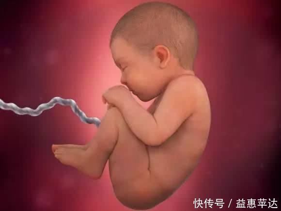 怀孕|组图告诉你,怀孕1周到40周胎儿是怎么长大的,感叹生命的神奇