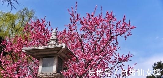 章法#谈谈格律诗的章法、句法和字法,这里面有规律可循吗?