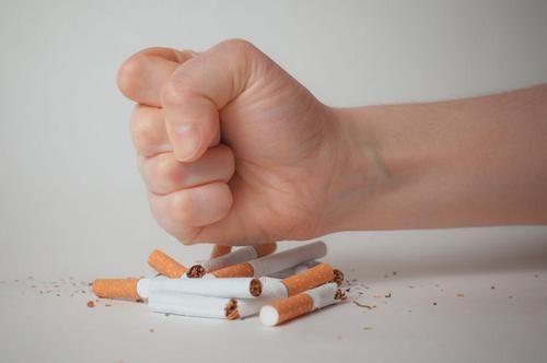 胜过|吃一口胜过8斤菠菜，心内科医生：你若爱吃，降脂溶栓，脑梗＂不敢造次＂