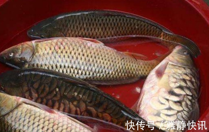 蒸鱼时要不要用盐腌制呢很多人都做错了，难怪蒸出来的鱼不好吃