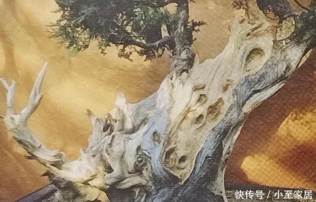 线条|制作舍利干及神枝