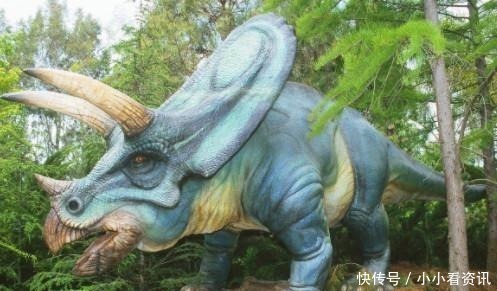 n10个趣味冷知识!咽下口香糖,肚里呆7年吗