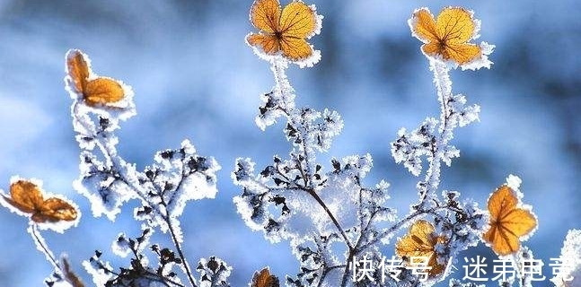 芳蕤&「诗词鉴赏」一年最冷三九天，十首有关三九的诗词，愿你一冬平安