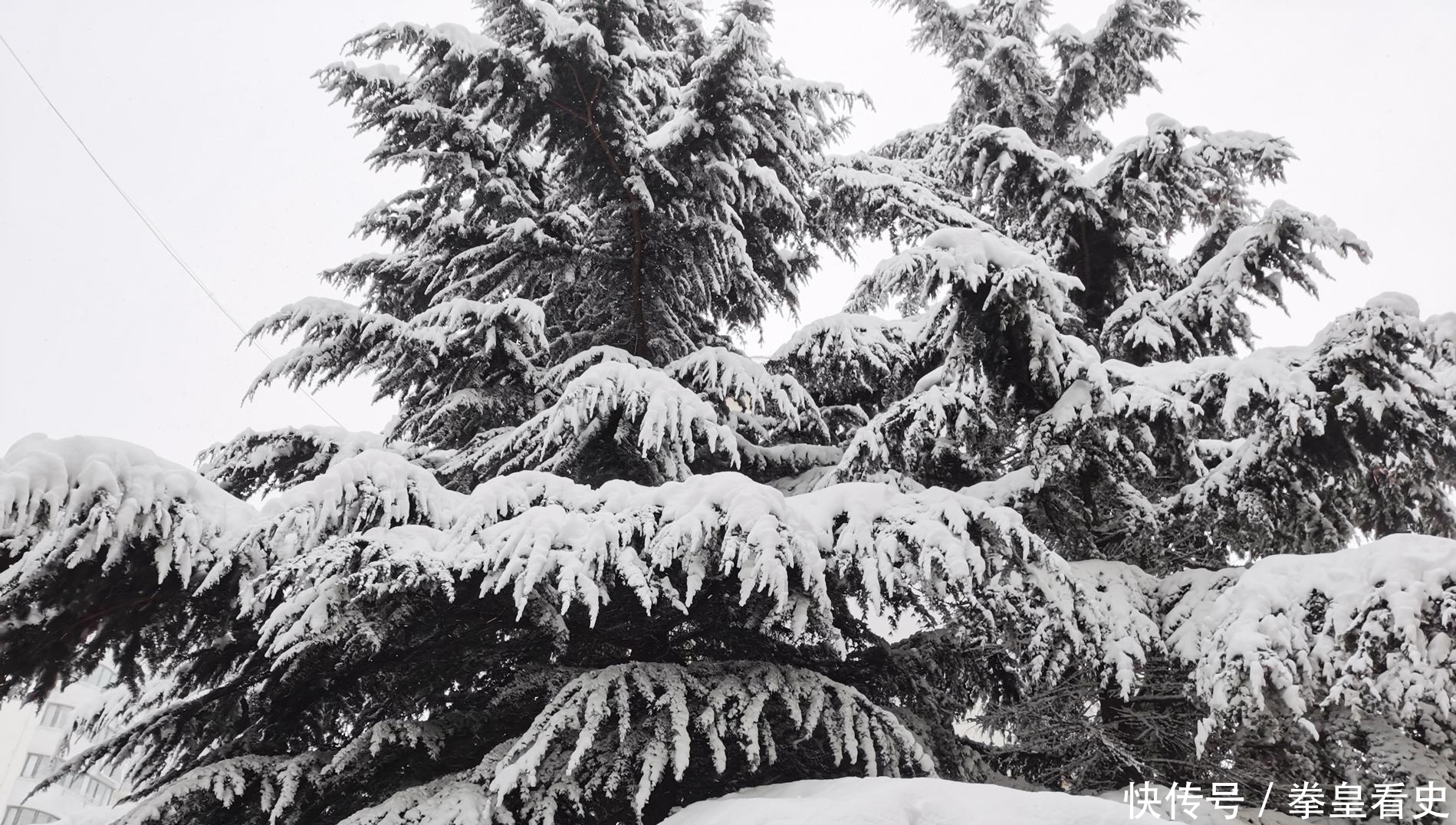 明代奇事:三个“倭人”漂流到登州府,还做了一首咏雪的诗