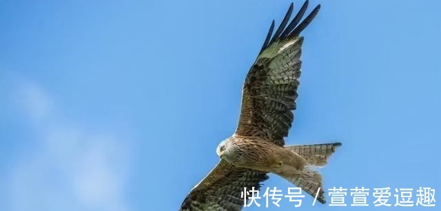 适应能力|心理学家:如果你缺乏自信、极度内向,请坚持做5件事