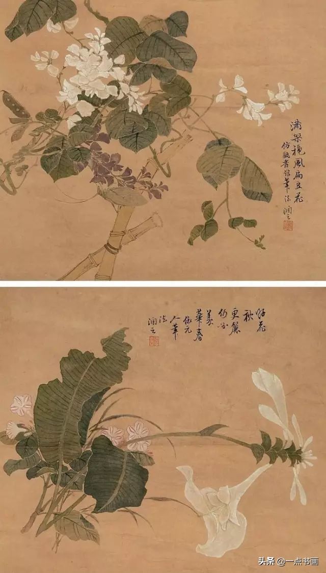 花卉&汤世澍：布衣画家?，晚年名扬天下