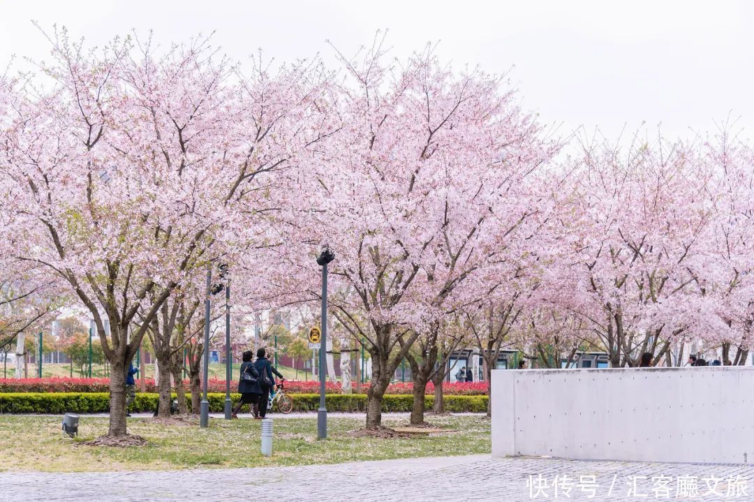 “逼停”航班的高铁！10h穿越沪浙赣湘贵，沿途风景美如画！