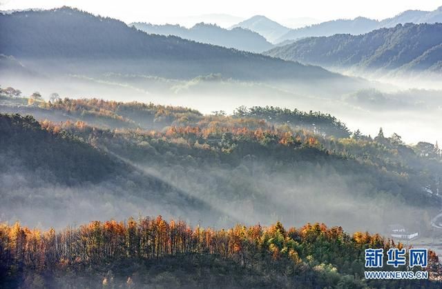 晨雾薄如轻纱，安徽潜山田园绚丽缤纷，静美如画|图说 | 平流雾