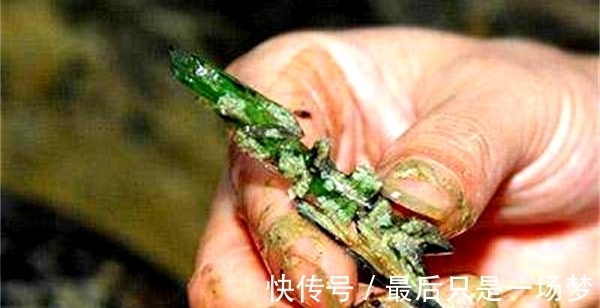 墓主@盗墓者进入墓穴,发现22个陪葬女,骨骼中都有绿色晶体,是舍利?