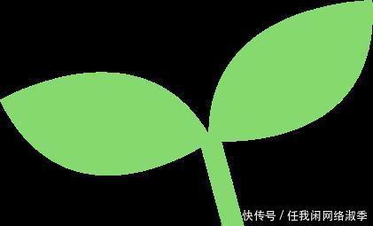 地球一小时︱探秘自然之夜，为地球发声