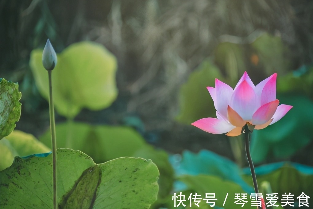 大姨|儿女成家后,和亲家相处做到2点就够了,很重要