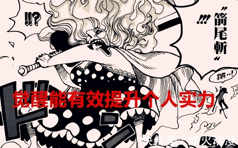 山治|海贼王1031话解析:同样是觉醒,而草帽团中只有他是最废的能力者