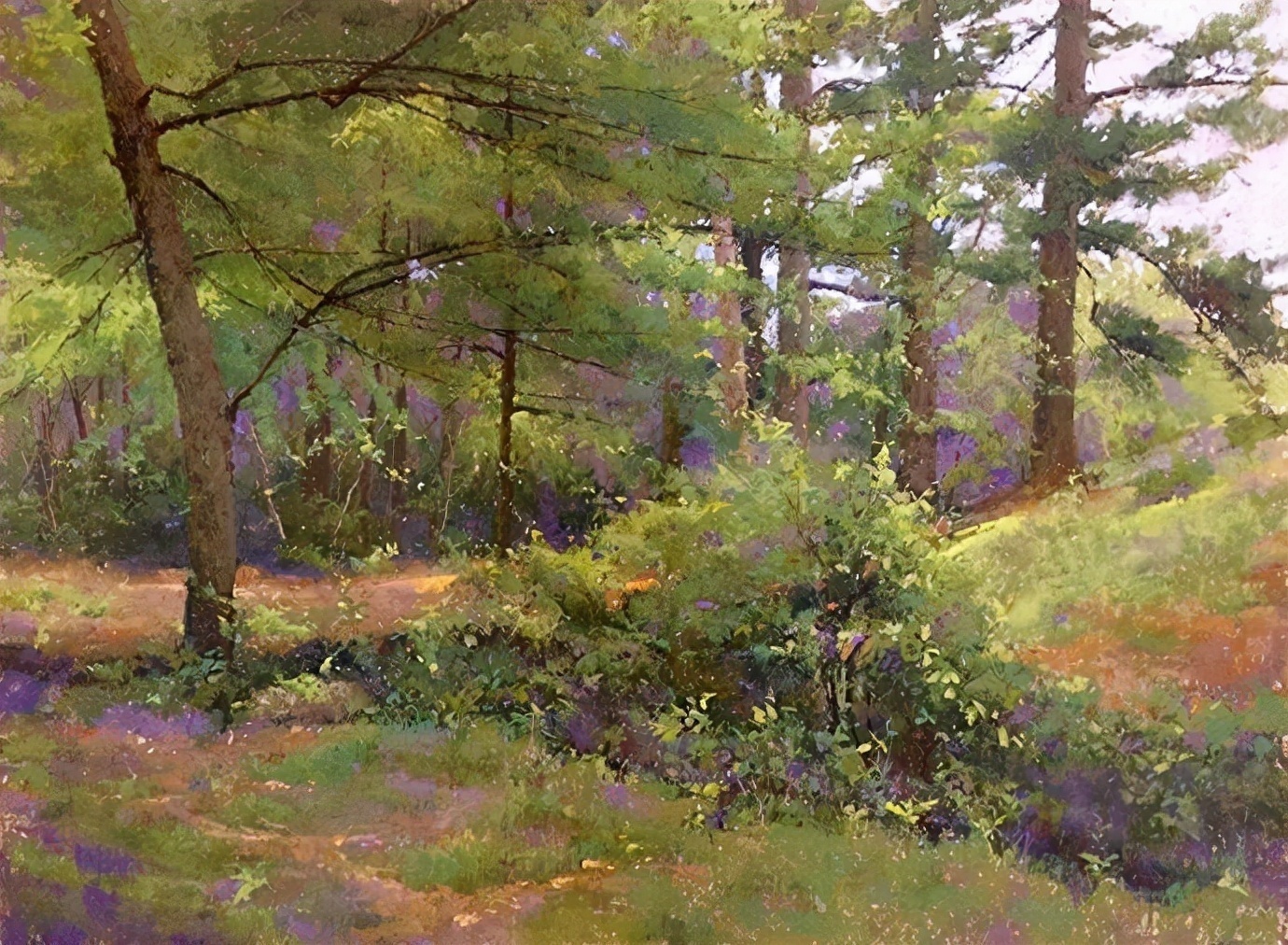 美国#美国艺术家阿奎尔柔和的风景油画,画里充满了阳光温馨美好