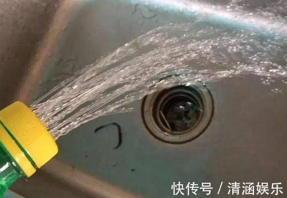 塑料瓶养花可当扦插神器、浇水壶、简易花盆，用途甚广！