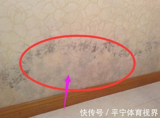 过滤网|装修还死心眼不听劝这22个狗血装修遗憾别不当回事,个个气爆你肺
