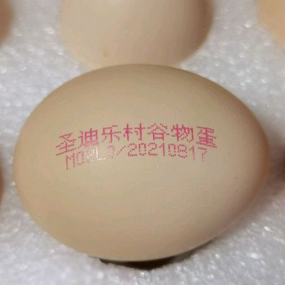 张特|清新黄瓜贴面玉子烧