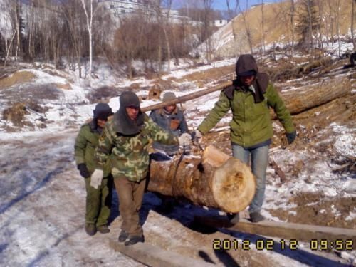 农村|农村俗语“一人不进庙,二人不看井,三人不抱树”,是啥意思