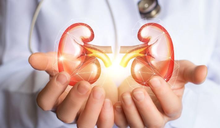 肾功能|延长肾功能寿命的1个行为,简单易行,肾内科医生都在做