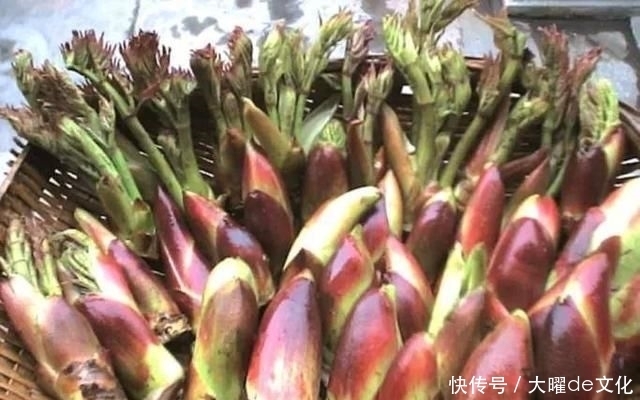 想長壽全靠吃，3種食物不錯過，補充營養，有益健康！