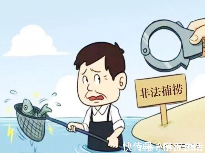 6条小鱼“换来”取保候审,涉嫌非法捕捞!钓友要引以为戒