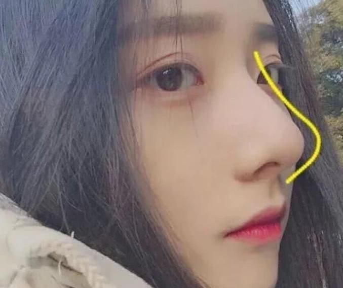 高鼻梁|女孩子脸上有这“3标志”,是标准的“校花脸”,占两个真的很少见