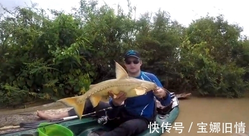 浑浊大河钓上一条黄黄的大鱼，是鲶鱼吗？能吃不？