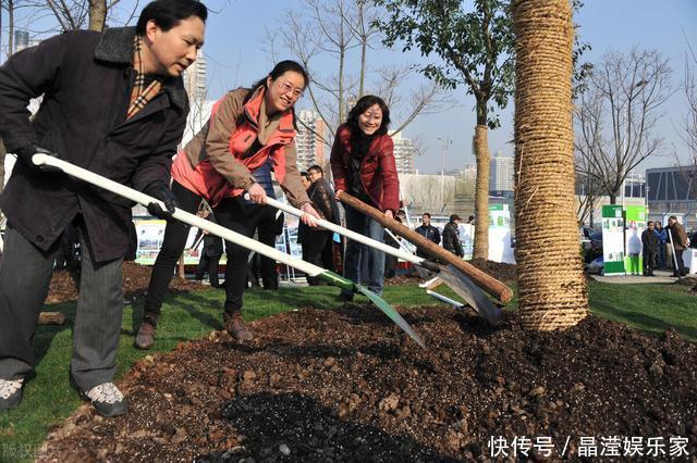 “桂花门前栽，贵人立门内”，桂花树这4个地方不宜栽，看完懂了