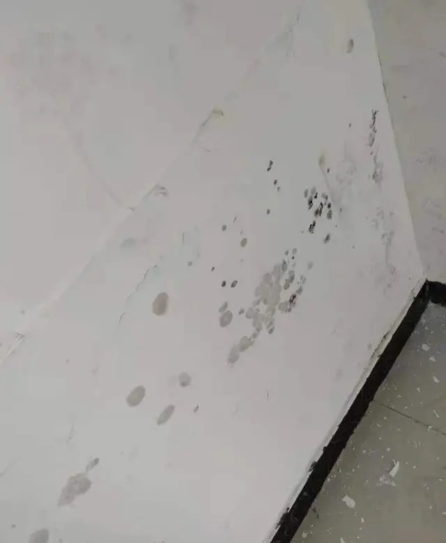 刘明|找新环境买精装二手房“带伤”？要求退中介费，回应：已提前告知