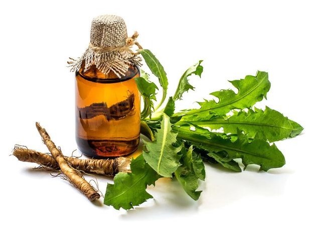 三种人|5岁小男孩,浑身起红疹,提醒蒲公英虽好,三种人要慎用