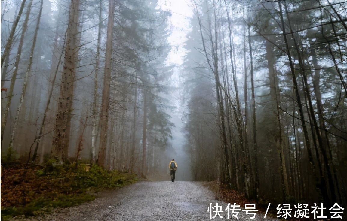 自然教育|99%的家长还不知道,“自然缺失症”正在毁掉孩子的童年