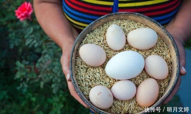 睡眠质量|孕期常吃这几种食物,不仅能预防胎儿黄疸,将来皮肤也白皙